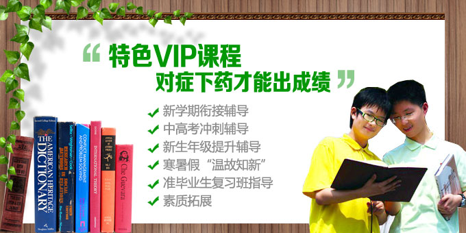 特色VIP课程